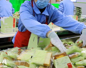 綠色食品加工純水設(shè)備解決方案